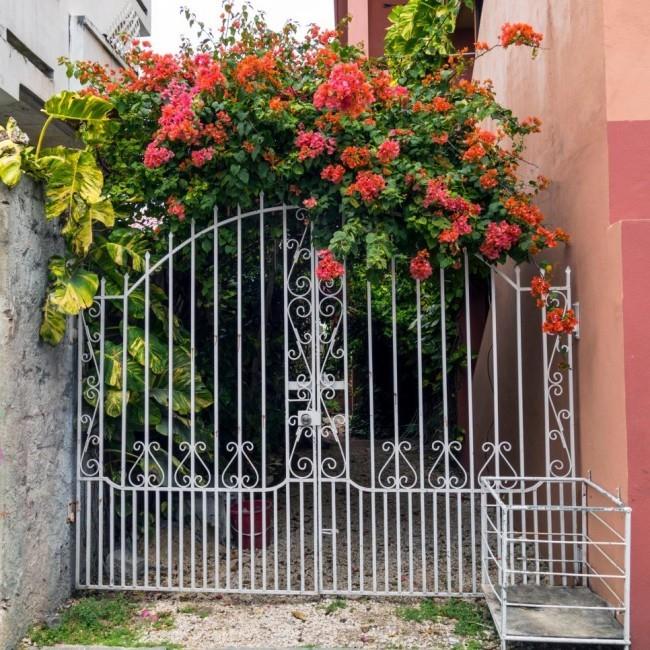 Metalowa brama ogrodowa w kolorze białym