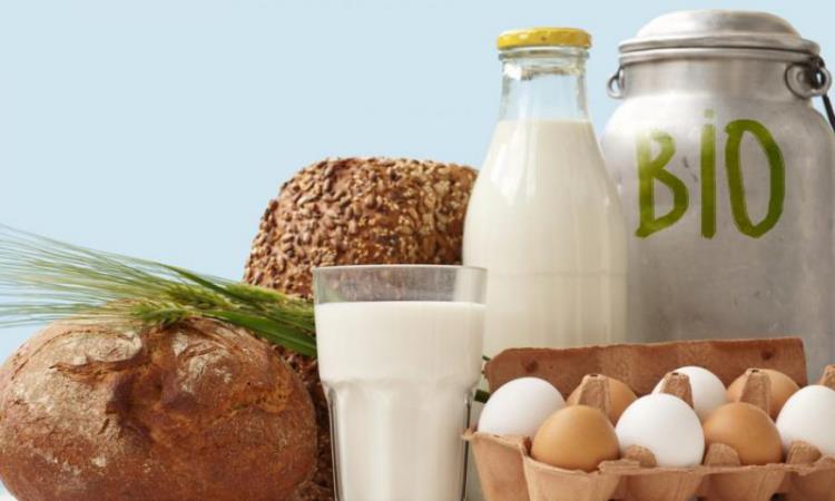 Zdrowa i zbilansowana żywność w czasach kryzysu koronowego produkty ekologiczne jajka mleko chleb domowy