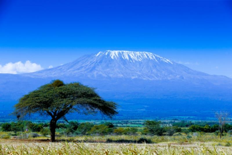 L'alpiniste du sommet du Kilimandjaro cible les montagnes du monde entier