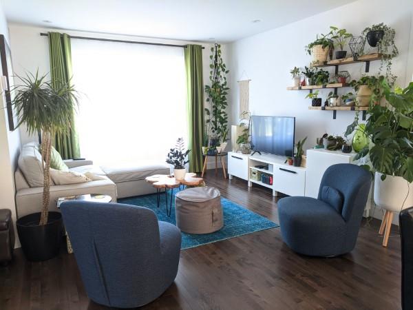 Dormez bien avec des plantes d'intérieur purificatrices d'air ! fleurs de salon