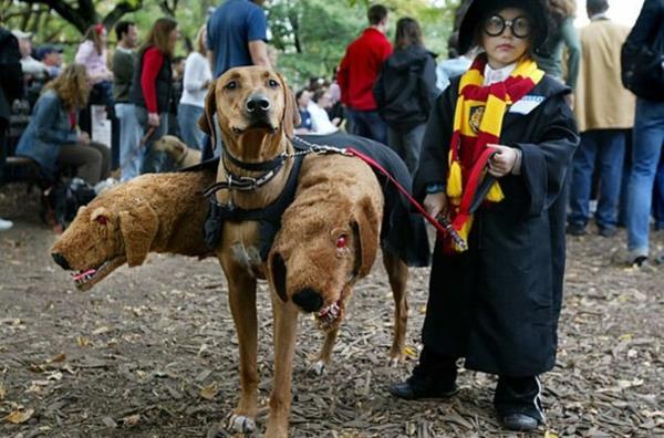 Le costume d'Halloween pour enfants conçoit un chien festif à trois têtes