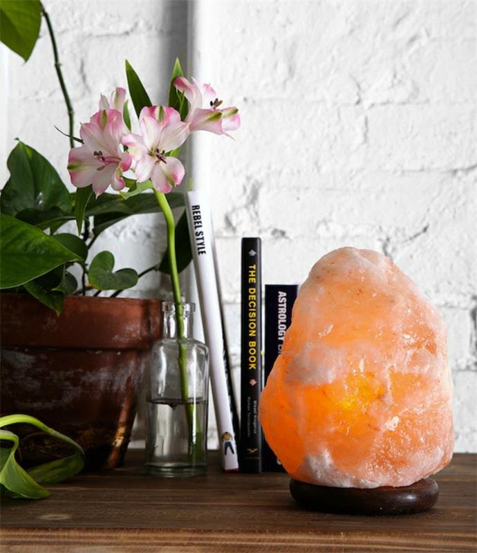 Lampa z efektem soli himalajskiej rośliny książki