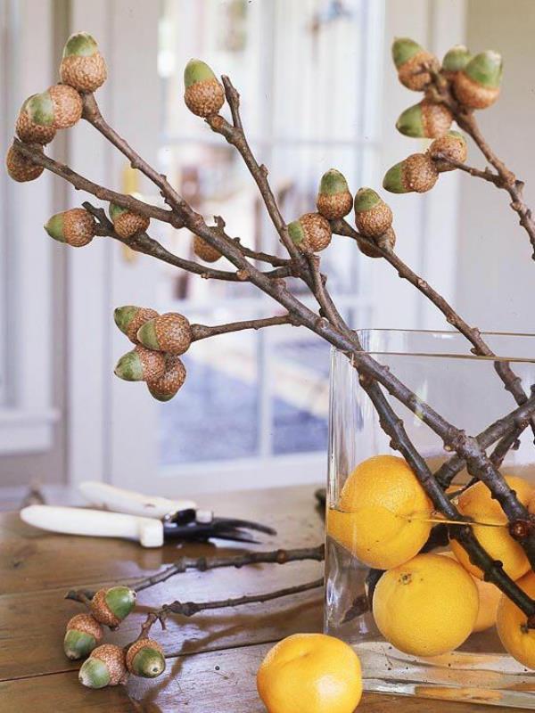 Adorable vase d'idées de décoration d'automne en verre sur la table à manger disposé en branches de citrons, d'eau et de glands