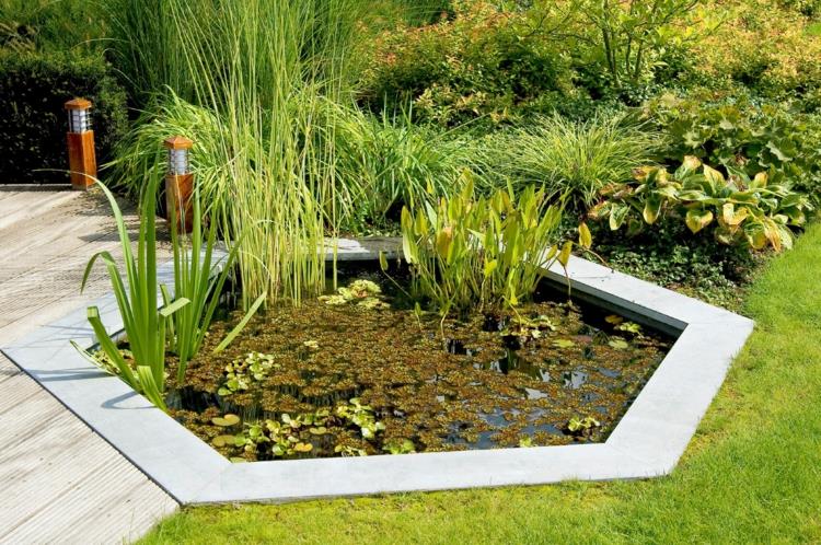 Étang de jardin d'arrière-cour idées de jardin japonais étang de plantes aquatiques