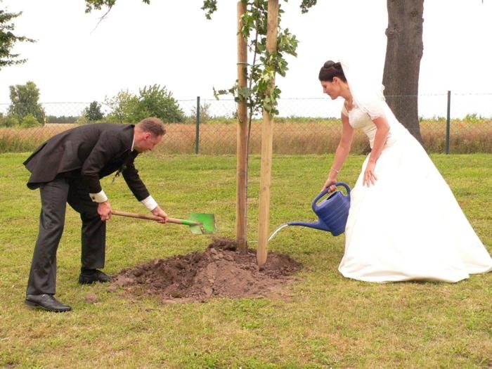 Planifier un mariage planter un arbre de mariage