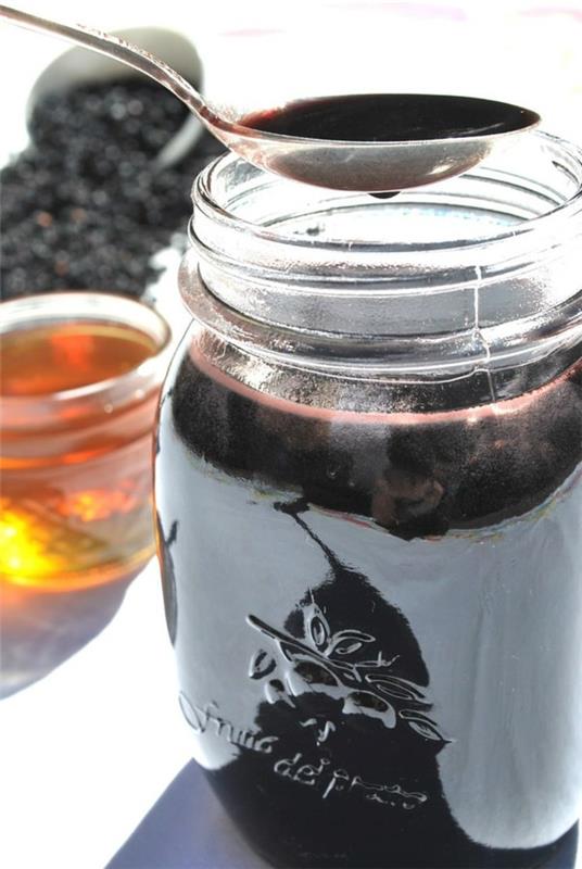 Faire soi-même du sirop de sureau Faire du jus de sureau Recette miel de sureau