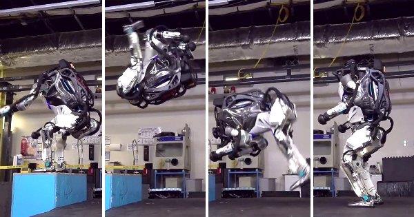 Le robot canin SpotMini de Boston Dynamics arrive bientôt avec le backflip du robot atlas