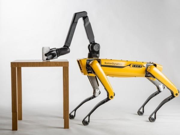 Le robot canin SpotMini de Boston Dynamics arrive bientôt robo hund vous apporte un soda