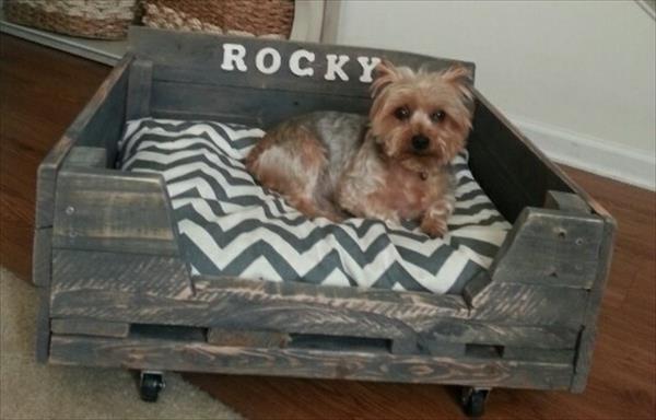 Drewniane łóżka dla psów sofy dla kotów zwierzęta wygodnie