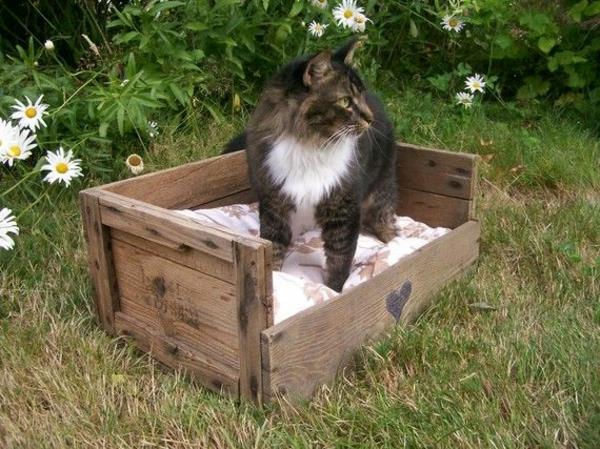 legowisko dla kota drewno koty sofy zwierzęta ogród