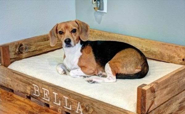 Łóżka dla psów materac drewno koty sofy zwierzęta rama!