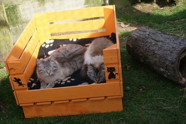 Lits pour chiens en bois canapés pour chats sans danger pour les animaux de compagnie