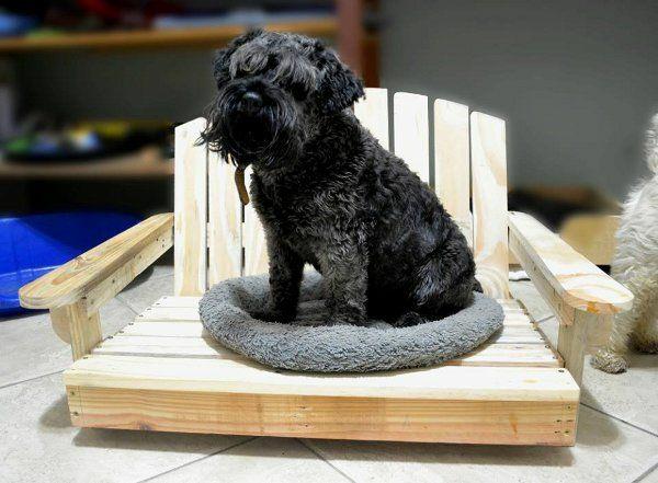Legowiska dla psów wykonane z drewna, sofy dla kotów, zwierzęta białe