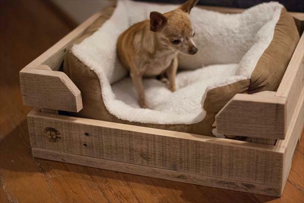 Łóżka dla psów drewniane sofy dla kotów zwierzęta miękkie!