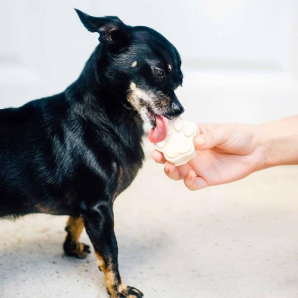 Jak zrobić wskazówki dotyczące lodów dla psów i przepis na masło orzechowe