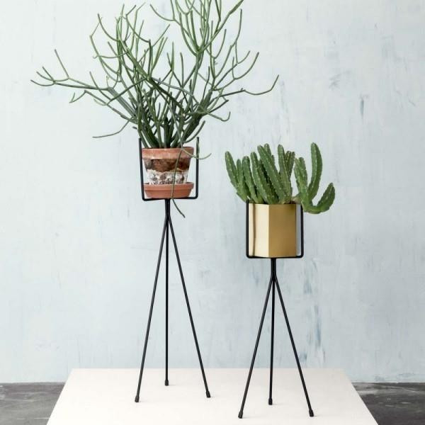 Pomysły na dekorację roślin w pomieszczeniach Trend minimalistycznie zaprojektowane stojaki na kwiaty