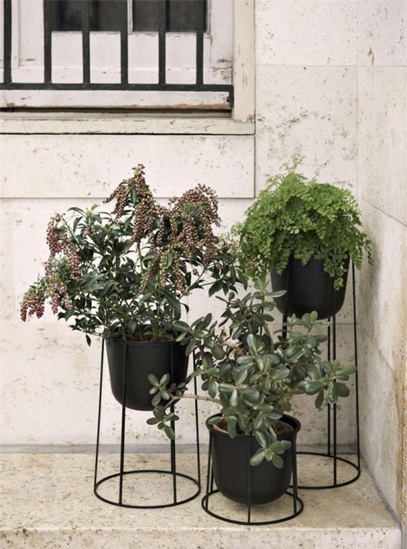 Pomysły na dekorację roślin wewnętrznych trzy doniczki z roślinami zielonymi świetna aranżacja na zewnątrz