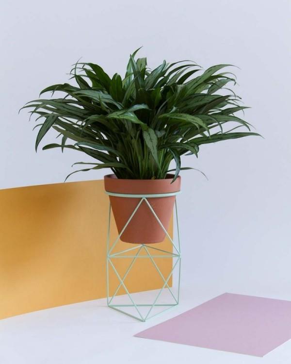 Pomysły na dekoracje roślin w pomieszczeniach są modne w geometrycznych kształtach