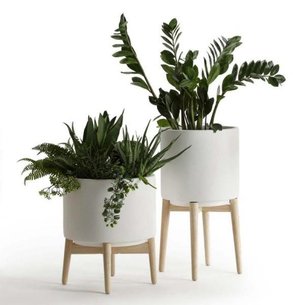 Pomysły na dekorację roślin w pomieszczeniach dwie doniczki świetna kombinacja roślin Zamioculcas łuk paproć konopna