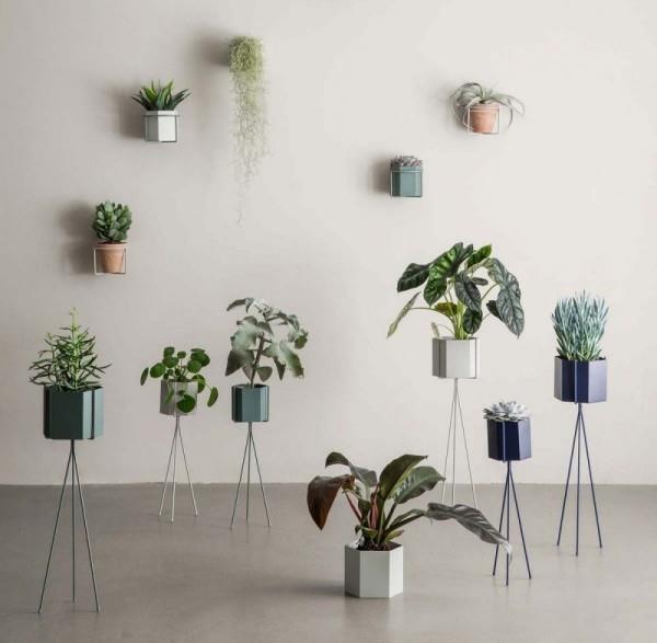 Pomysły na dekorację roślin w pomieszczeniach