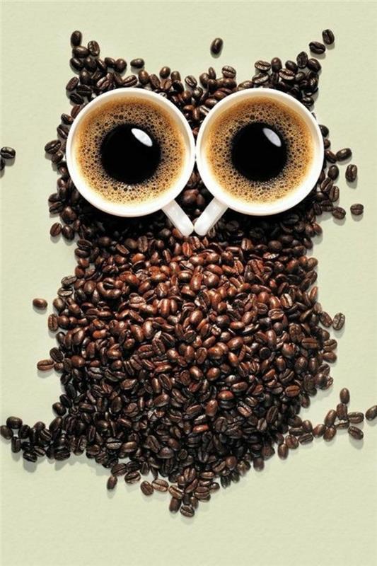 Rodzaje kawy napoje kawowe efekt kawy sowa ziarna kawy