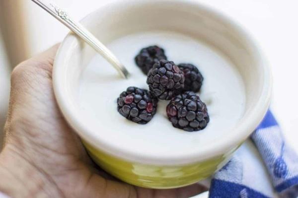 Kéfir petit déjeuner sain aliments probiotiques champignons kéfir