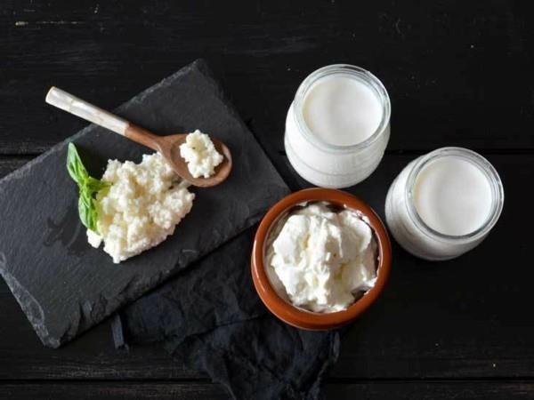 Kéfir lait sain boire du lait kéfir aliments probiotiques grains de kéfir