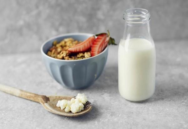 Kéfir lait sain boisson lait kéfir aliments probiotiques kéfir champignons