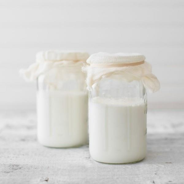 Boisson au lait saine au kéfir Faites vous-même du kéfir de lait avec des grains de kéfir