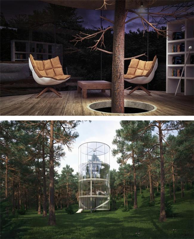 Klasyczna nowoczesna architektura wokół drzewnego ogrodu