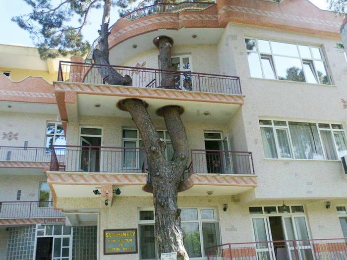 Klasyczna nowoczesna architektura wokół drzewa
