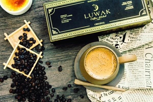 Kopi Luwak Coffee Price Cat Coffee le café le plus cher du monde