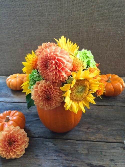Pot de fleur de citrouille