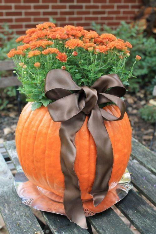 Pot de fleur de citrouille à l'extérieur du ruban foncé de chrysanthèmes de couleur orange