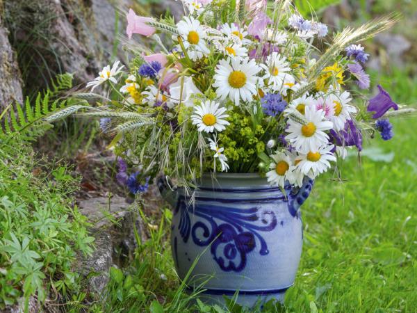 Marguerites autres fleurs de prairie et de jardin dans un pot en argile rond en bleu