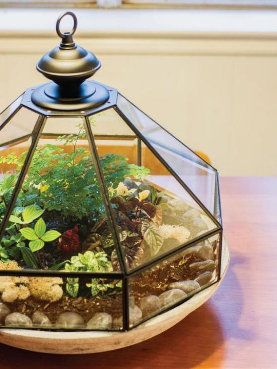 Mini ogródek w szklanym niezwykłym szklanym naczyniu świetna stylowa aranżacja