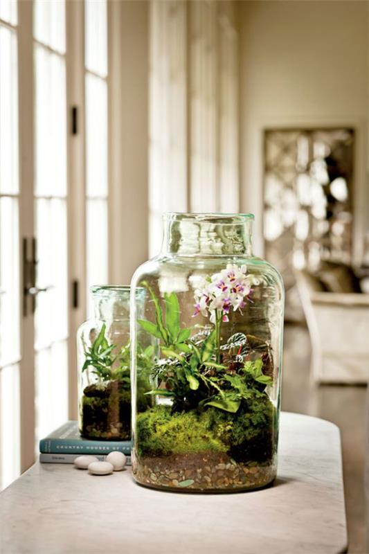 Mini ogródek w szklanym domu kwitnące rośliny ozdobią aranżację dużą ilością zieleni