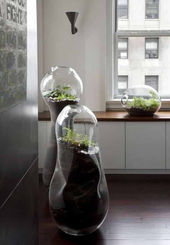 Mini ogródek w szkle trzy wysokie szklane pojemniki o nietypowym kształcie jako dekoracja pokoju przyciąga wzrok