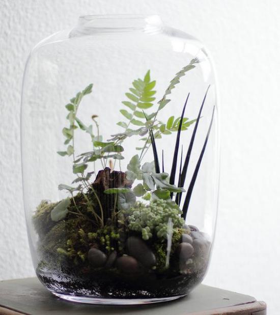 Mini ogródek w szklanym dużym szklanym naczyniu bez pokrywki małe kamienie mech zielone rośliny