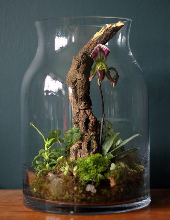 Mini ogródek w szkle wysokie szklane naczynie nietypowy kształt dużo fantazyjnych gałęzi rośliny mech