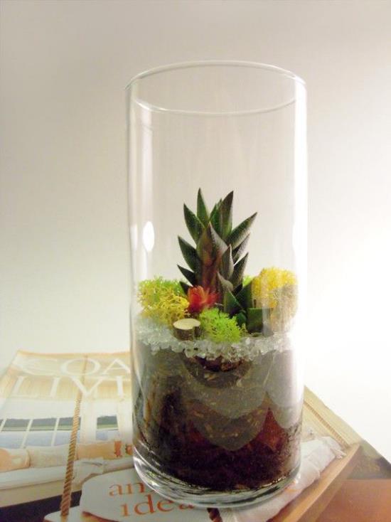 Mini ogródek w szklanym wysokim szklanym naczyniu różne rośliny dobrze ułożone sukulenty