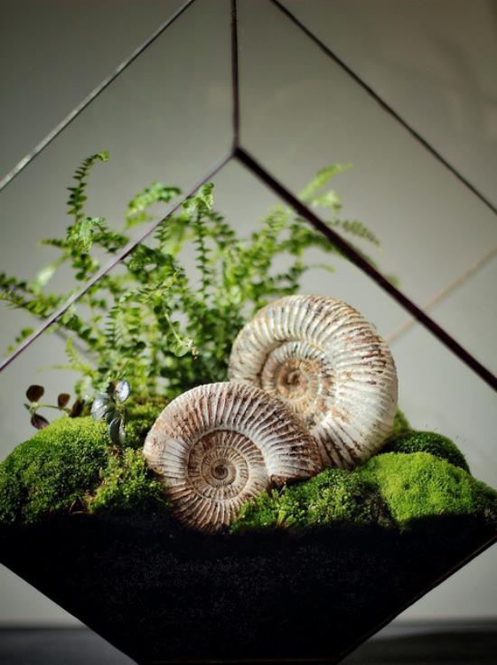 Mini ogródek w szklanym kreatywnym, nieco nietypowym układzie wielokątnych szklanych pojemników elementy dekoracyjne ślimaki mech paproć