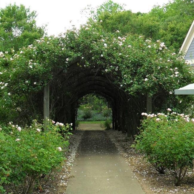 Nowoczesna brama ogrodowa do ogrodu