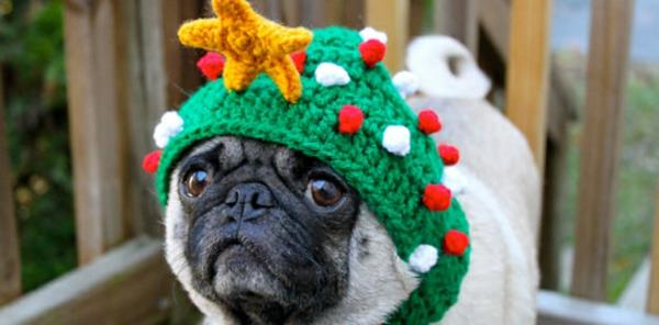 Czapki psy odzież dla zwierząt świąteczna jodła