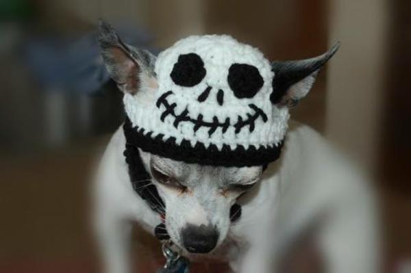 Kapelusze kostium na halloween psy odzież dla zwierząt przerażające
