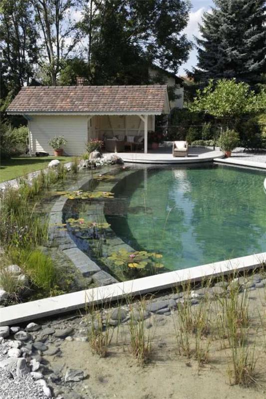 Piscine naturelle tendance jardin naturel