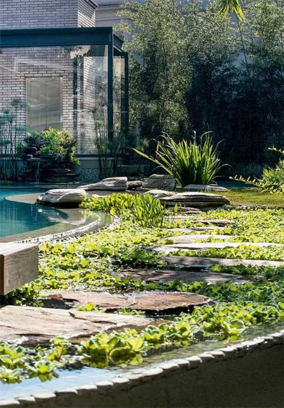 Tendances jardin piscine naturelle