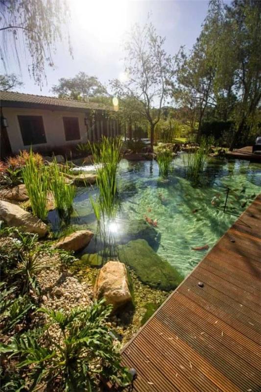 Aménagement piscine naturelle jardin naturel