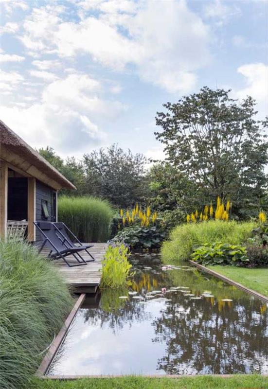 Maison de rêve piscine naturelle avec piscine