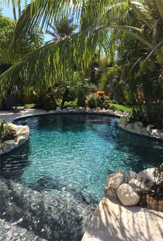 Tendances de jardin moderne de piscine naturelle